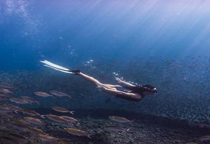 Kehidupan “Mermaid” Cantik di Dasar Laut