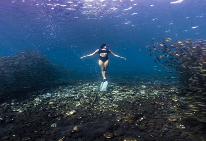Kehidupan “Mermaid” Cantik di Dasar Laut