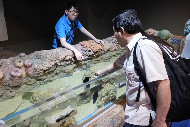 Lepas Penat di Jakarta Aquarium