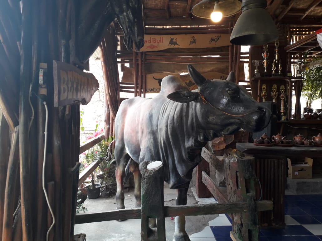 Pemotongan Hewan Kurban pada Iedul Adha di Yogyakarta