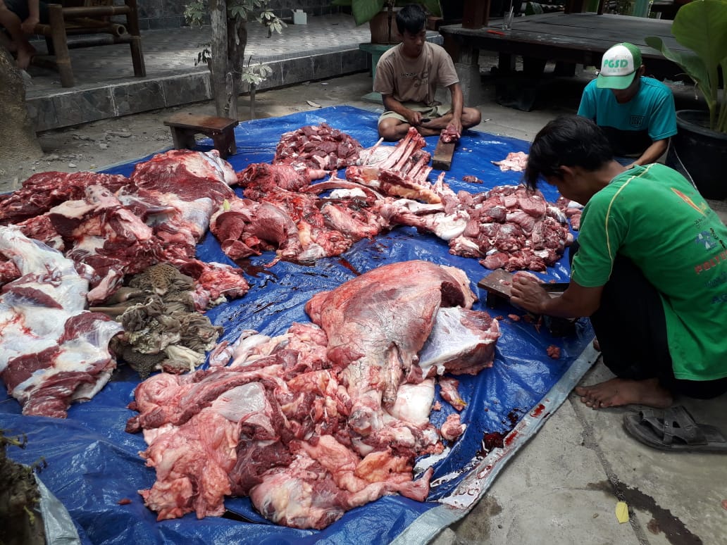 Pemotongan Hewan Kurban pada Iedul Adha di Yogyakarta