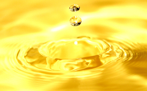 Pertamina Lubricants Lebarkan Sayap di Negeri Kangguru