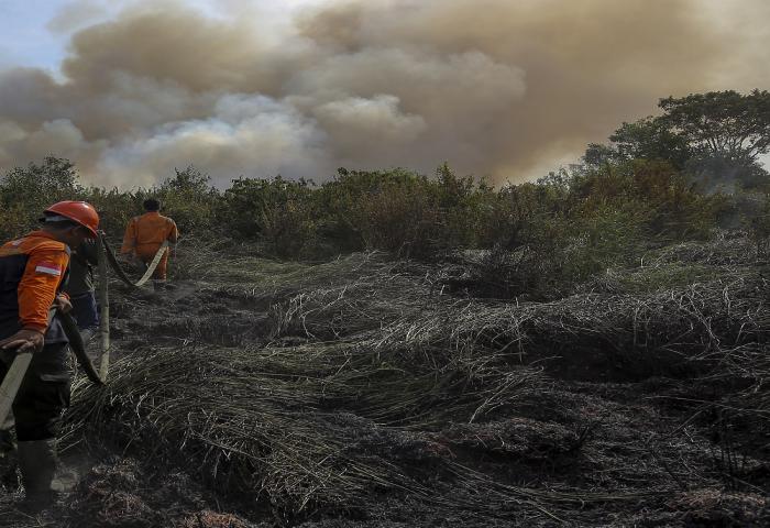 Komisi IV DPR: Hukuman Tegas Bagi Korporasi Pembakar Hutan Harus Diterapkan Pemerintah
