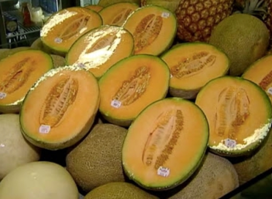 Kementan Larang Masuk Rock Melon Australia