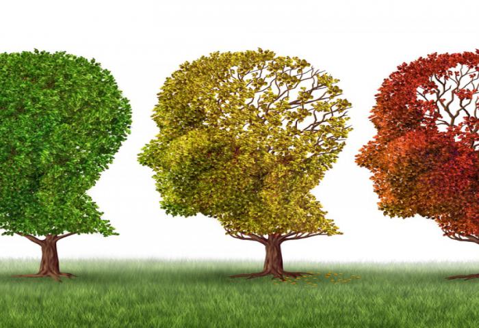 Alzheimer Dapat Menyebabkan Seorang Meninggal?
