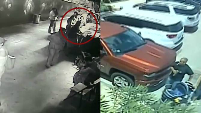 Polisi Tangkap Pelaku Pencuri Hiu Pakai Kereta Bayi Dari Akuarium Texas