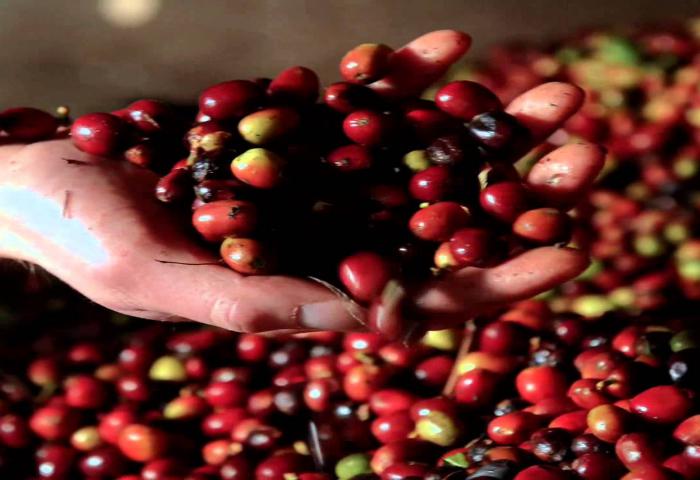 Menperin: Gaya Hidup Dorong Industri Kopi Tumbuh