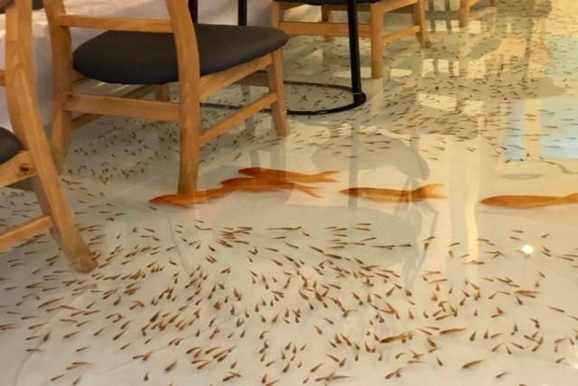 Kafe Unik! Disini Makan Ditemani Ikan Hias yang Berenang di Kaki