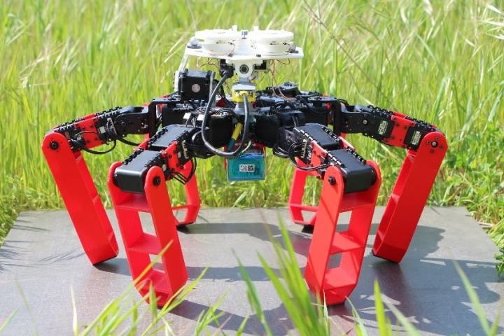 Ilmuwan Buat Robot Berjalan Seperti Semut Gurun