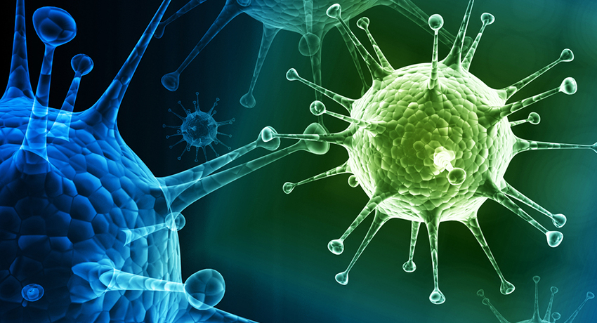 Lebih dari 200 Orang Tewas Akibat Virus Flu di Australia
