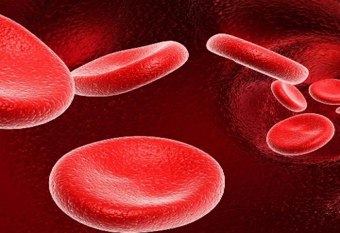 Penderita Leukimia Kronik Tetap Bisa Hidup Normal