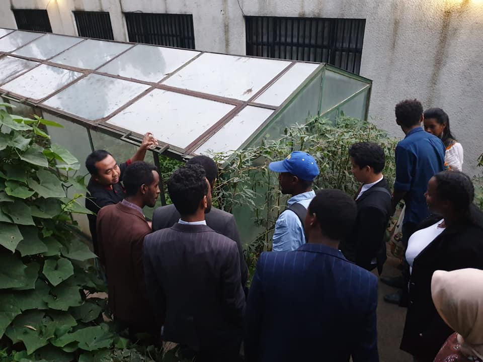 Pemuda Ethiopia Ingin Ciptakan Jenis Tanaman Baru dengan Indonesia