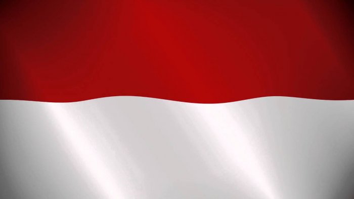 Cuaca Dingin Tak Halangi Masyarakat Indonesia Hadiri Peringatan HUT RI ke-74 di Selandia Baru