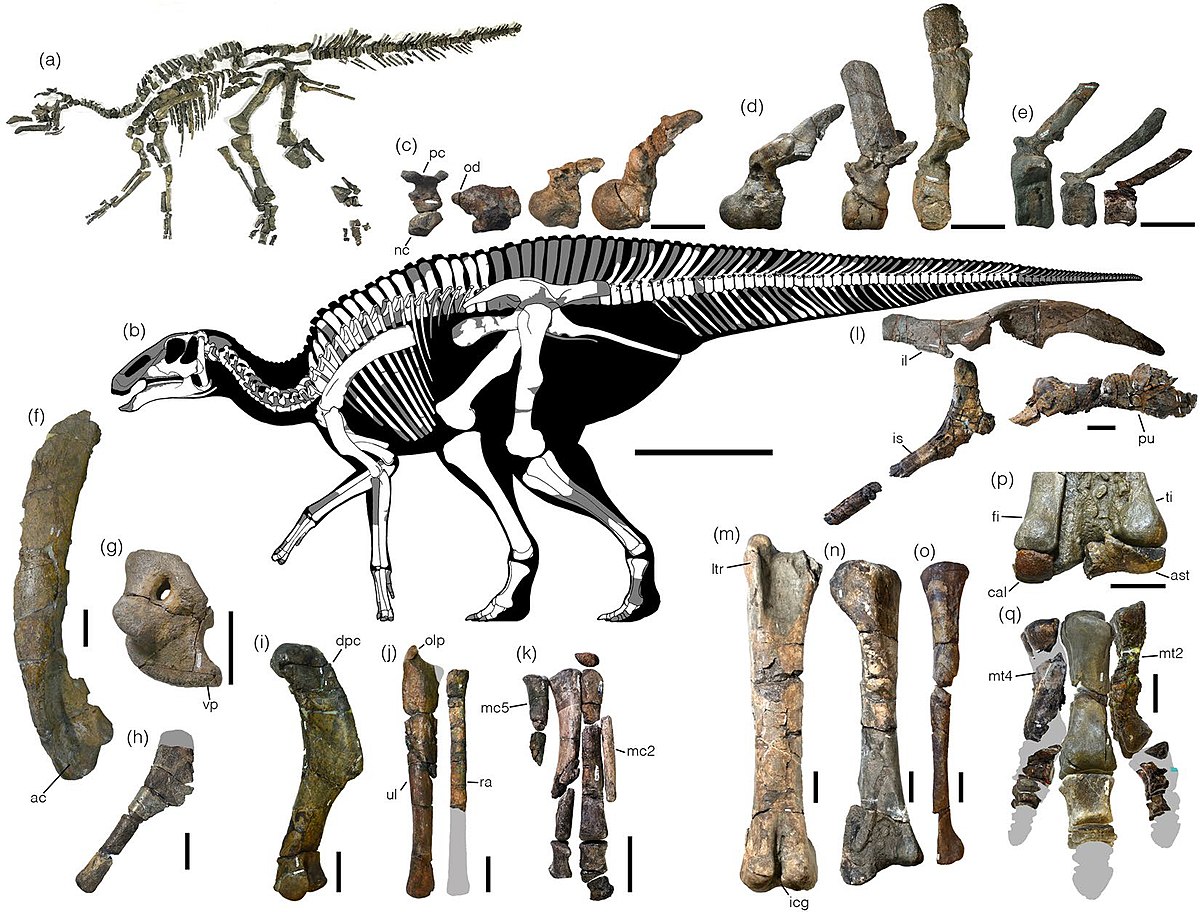 Ilmuwan Jepang Temukan Spesies Dinosaurus Baru
