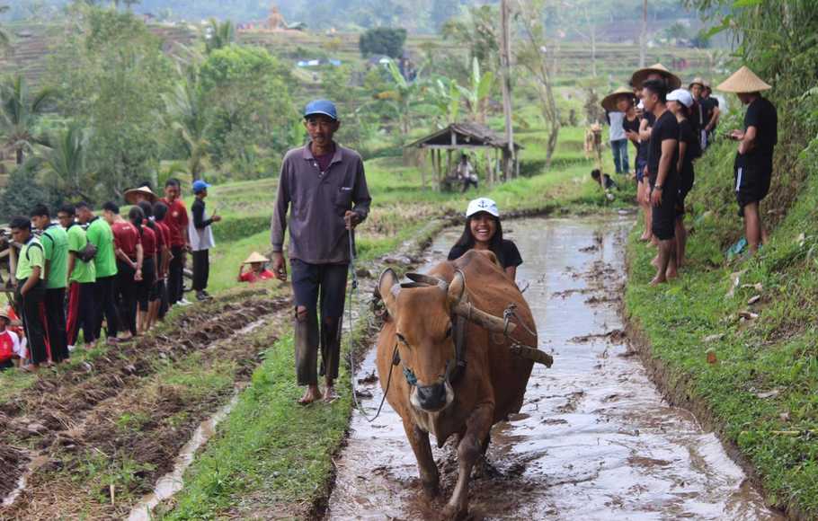 Padukan Kebudayaan dan Alam, Festival Jatiluwih 2019 Siap Digelar