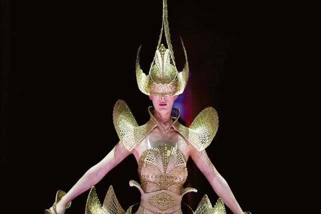 Rinaldy Yunardi Harumkan Nama Indonesia Lewat Karya 'Lady Warrior'