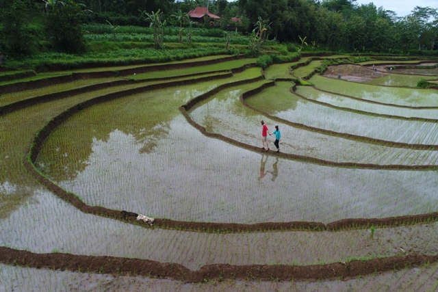 Empat Desa Wisata Indonesia Masuk Top 100 Destinasi Dunia