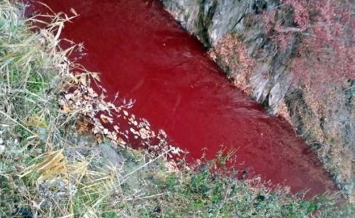 Sungai di Korea Selatan Berubah Jadi Warna Merah Karena Ini