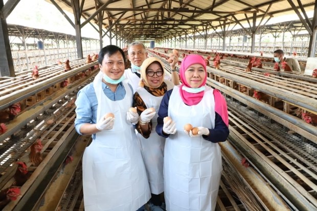 Gubernur Jatim Imbau Masyarakat Tak Perlu Cemas Konsumsi Telur di Jatim