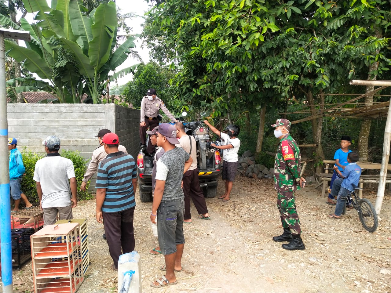 Balap Merpati di Tengah Pandemi Covid-19 di Jember Dibubarkan Polsek Puger