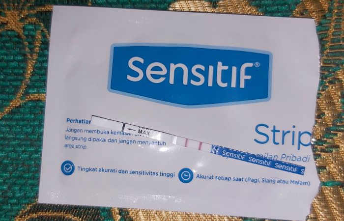 Dear Ibu Hamil, Jangan Konsumsi Asupan Menu Ini Ya