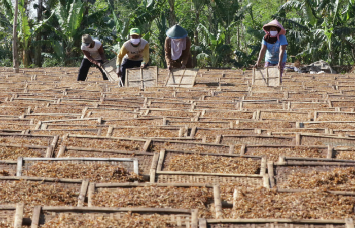 Bos Sampoerna Minta Pemerintah Jangan Naikkan Lagi Cukai Rokok