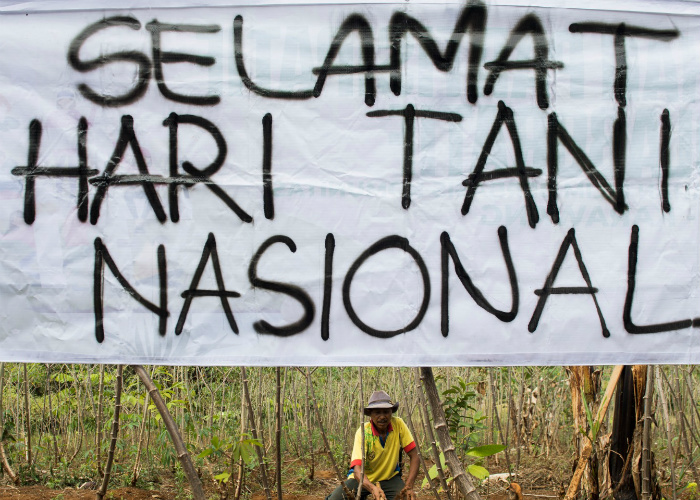 Alih Fungsi Lahan Kian Marak, Kementan: Produktivitas Hasil Pertanian Menurun
