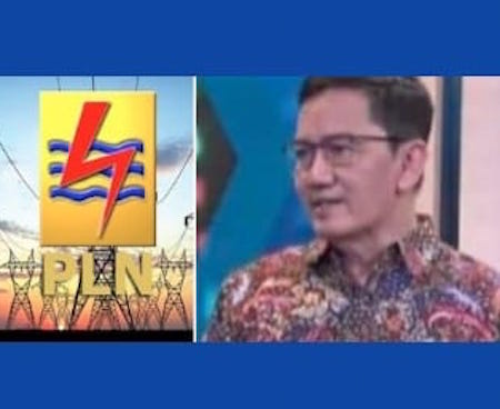 Pengamat Ekonomi Energi UGM, Fahmy Radhi: Jangan Hapus DMO Batu Bara