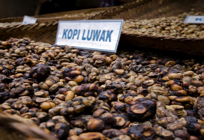 “Bangga Menyeduh Kopi Papua” diluncurkan Mendag