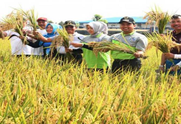 Program Tangerang Berkebun Hasilkan Olahan Pangan Sehat