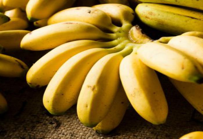 Merasa Lelah, Lima Makanan Ini Harus Anda Lahap Biar Segar Kembali!