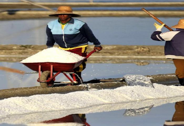 Kemenko Maritim: Swasembada Garam Nasional Harus Dikembangkan