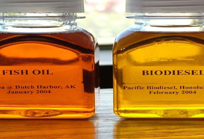 Indonesia Minta AS Pertimbangkan Bea Masuk Biodiesel