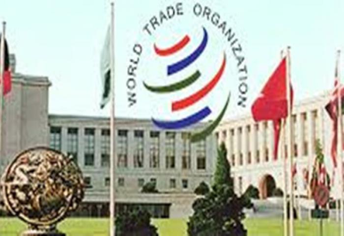 Di KTM Ke-11 WTO, KMSI Inginkan Isu Subsidi Perikanan Jadi Mandat Doha