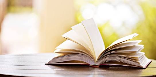 6 Langkah Peningkatan Perpustakaan Via Pustakawan