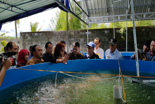 KKP Buat Percontohan Teknologi Recirculating Aquaculture System (RAS)