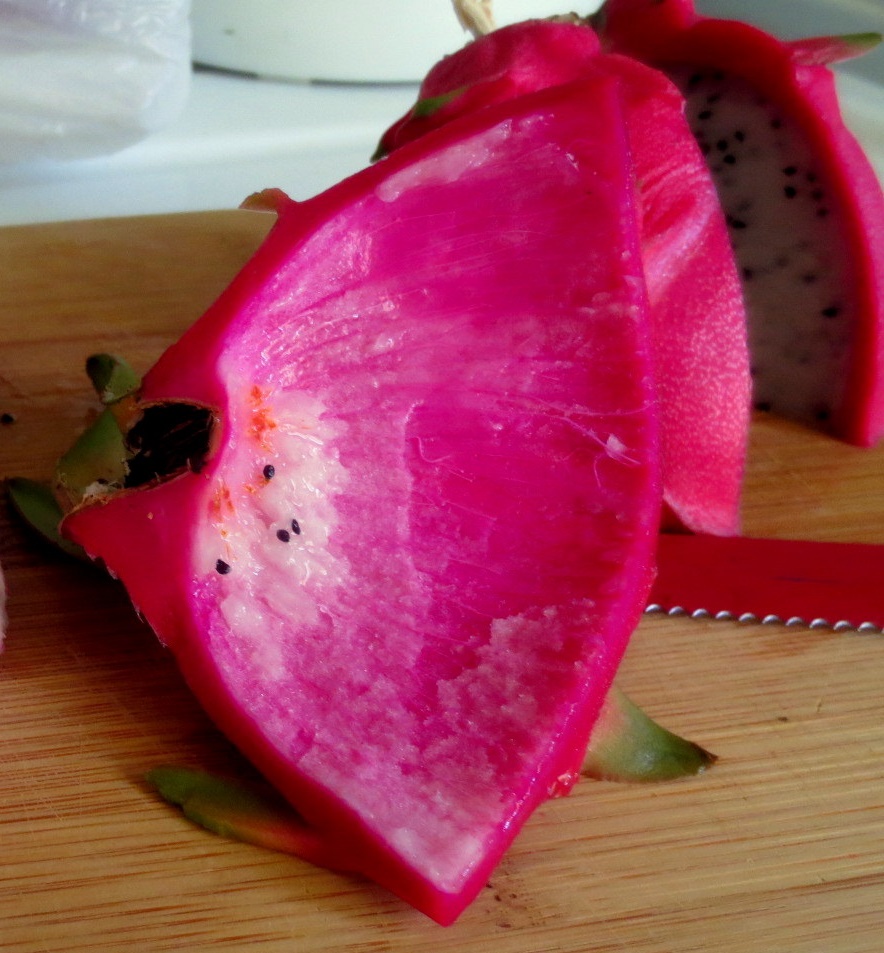 Kulit Buah Naga.jpg