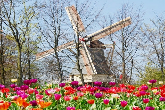 Keukenhof Garden, IG @hedgingviagens.jpg