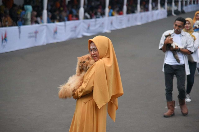 pets-jfc-2019-8.jpeg