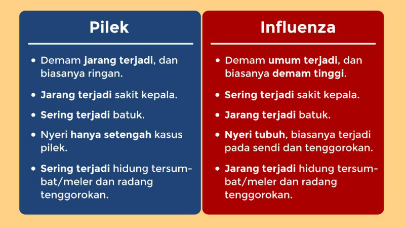 FLu_Pilek_idwikipediaorg.jpg