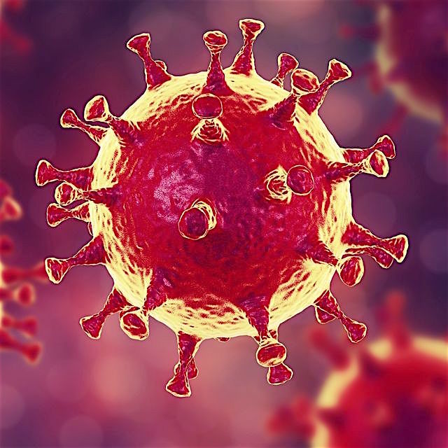 virus corona.jpg
