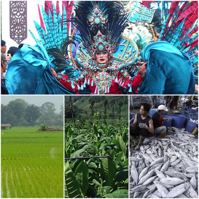 Potensi Jember--JFC, Pertanian, Perkebunan dan Perikanan.jpg