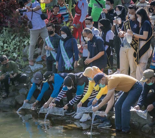 Menebar Benih Ikan untuk Budidaya Ikan untuk Penambah Gizi Masyarakat.jpeg
