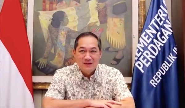 Muhammad Lutfi, Menteri Perdagangan RI.jpeg