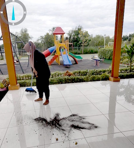 Abu Batu Bara Hitam Pekat Cemari Lingkungan.jpeg
