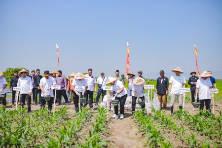 Pemupukan dengan Pupuk Organik dengan Masyarakat Petani.jpg