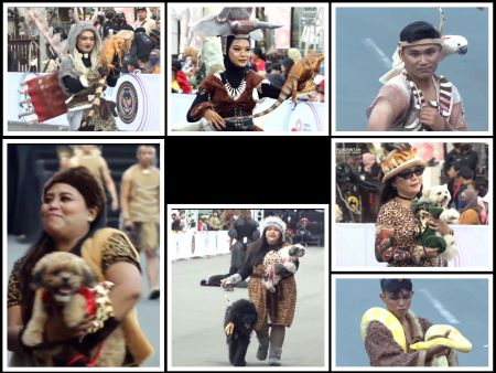 Pets Carnival yang dinanti.jpg