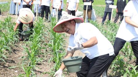 Bupati Jember Hendy Siswanto Semangati Petani Gunakan Pupuk Organik.jpg