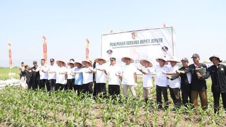Sosialisasi Pemupukan dengan Pupuk Organik untuk Pertanian yang Berkelanjutan.jpg